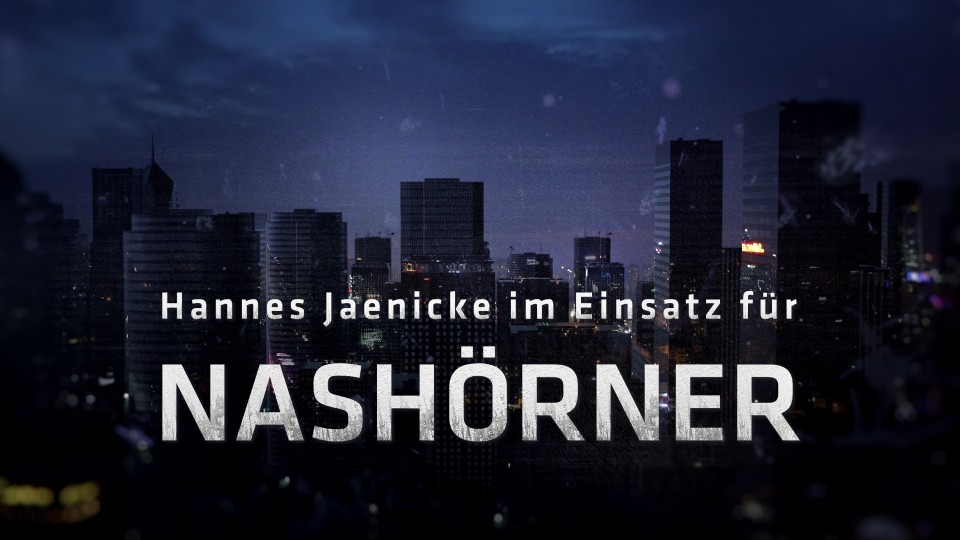 HJ_Nashoerner_A_